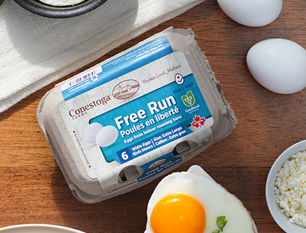 conestoga farms free run egg carton 6 pack